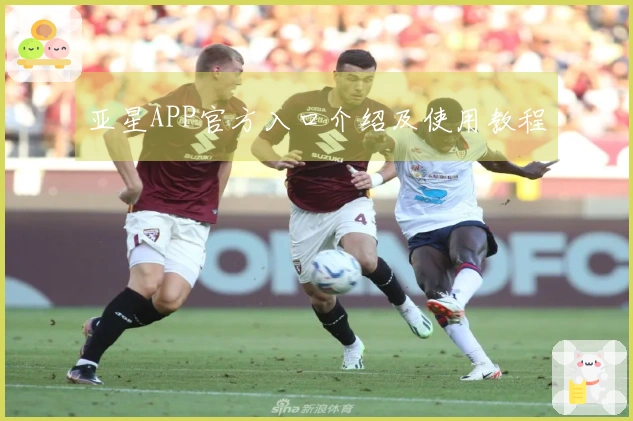 亚星APP官方入口介绍及使用教程