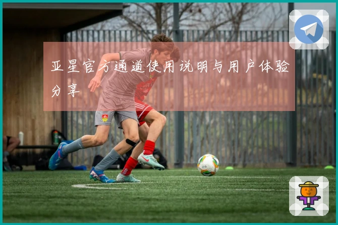 亚星官方通道使用说明与用户体验分享