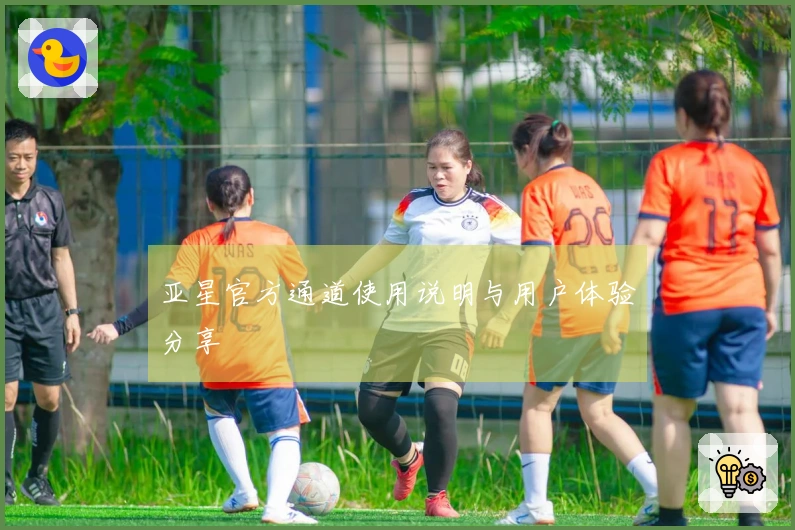 亚星官方通道使用说明与用户体验分享