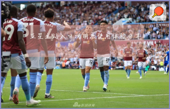 亚星主站入口说明及使用体验分享