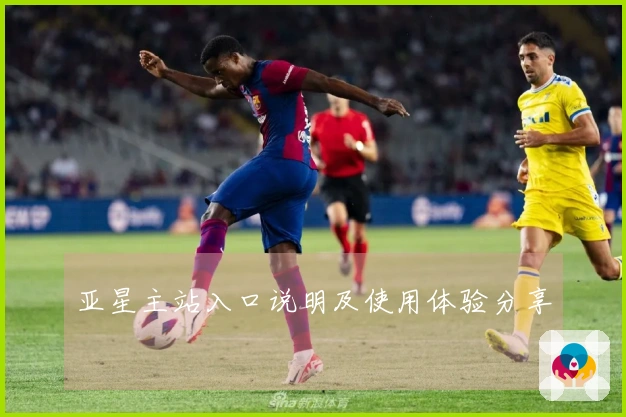 亚星主站入口说明及使用体验分享